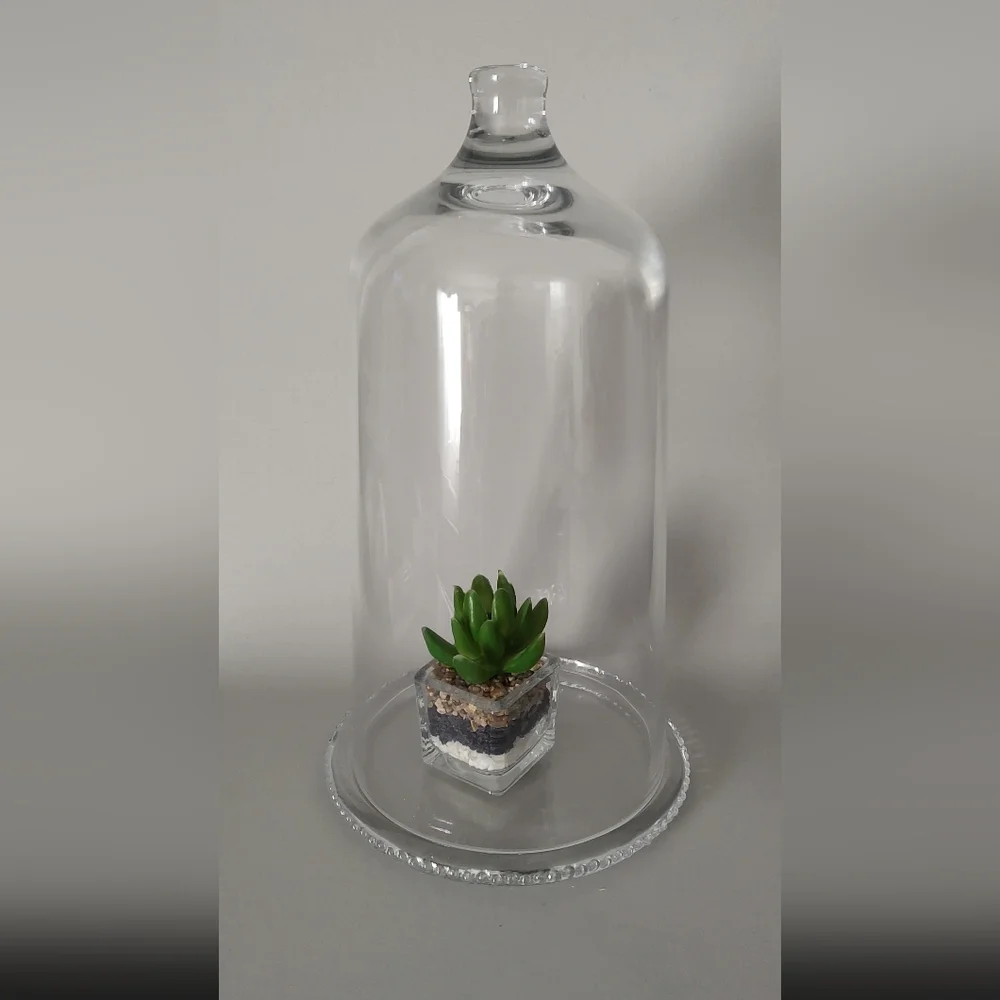 Hearth & Hand Magnolia Glass Dome Cloche With Box 12 Inch New decor New